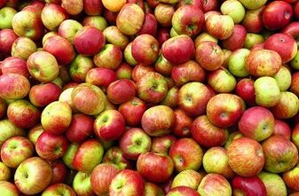 Dieta jabłkowa na odchudzanie
